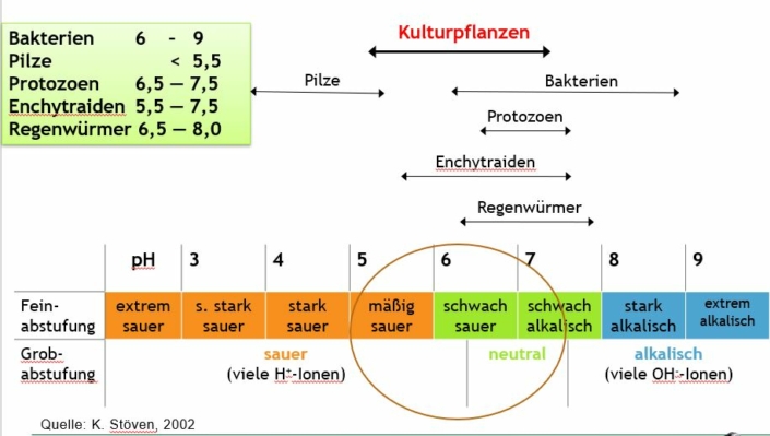 Wirkung Naturkalk