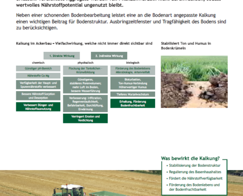 Bodenmanagement-Wirkung der Kalkung