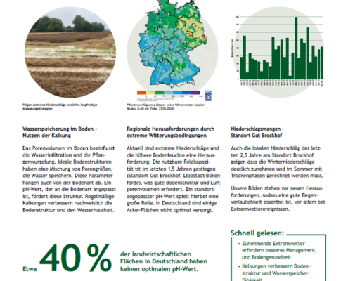 Wetter und regionale Niederschläge