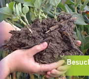 Spotlight_SoilHealth_600x160 2